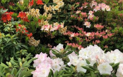 Wspaniała wycieczka